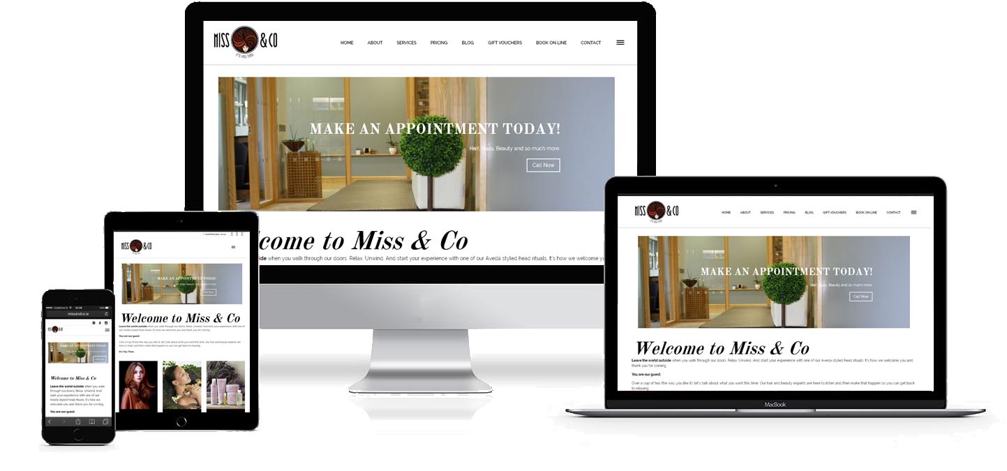 Image and link to Miss and Co Hair & Beauty Salon Waterford Web Site Development