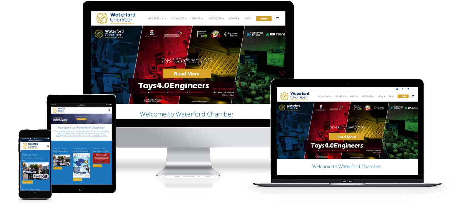 waterford chamber website design project image 1